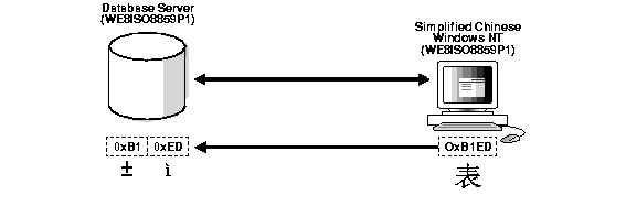 Text Description of nls81021.gif follows